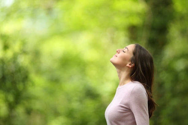 How Gratitude Journals Improve Happiness