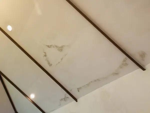 Emergency Roof Leak Repair: Quick Solutions That Work
