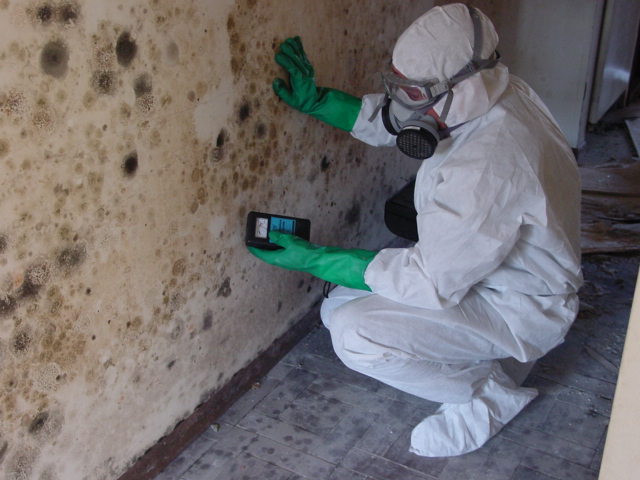 Mold Testing Solutions Protect Homes From Hidden Moisture And Air Contamination