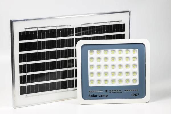 Convenient Pet Grooming Near You in Port St. Lucie