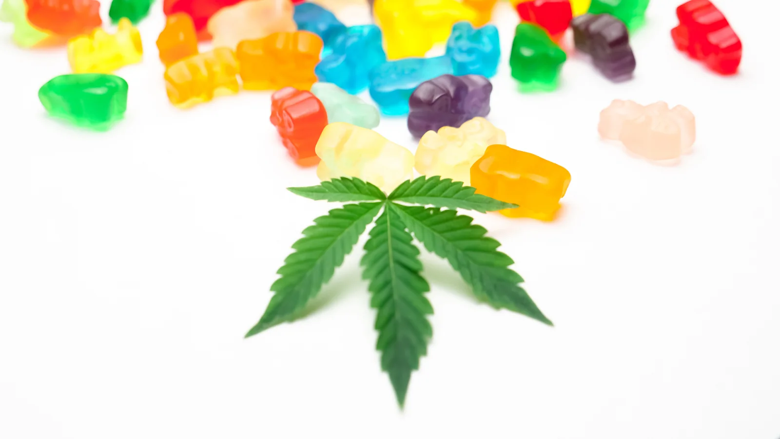 Understanding Oregon Mushroom Gummy Laws per Daily Emerald in 2026